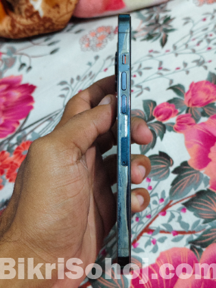 IPHONE 12 PRO MAX 256GB